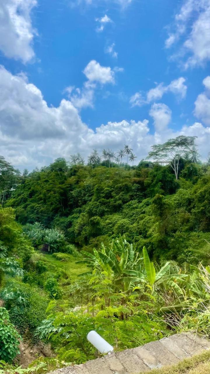 Solana Wellness Retreat 호텔 우붓 외부 사진